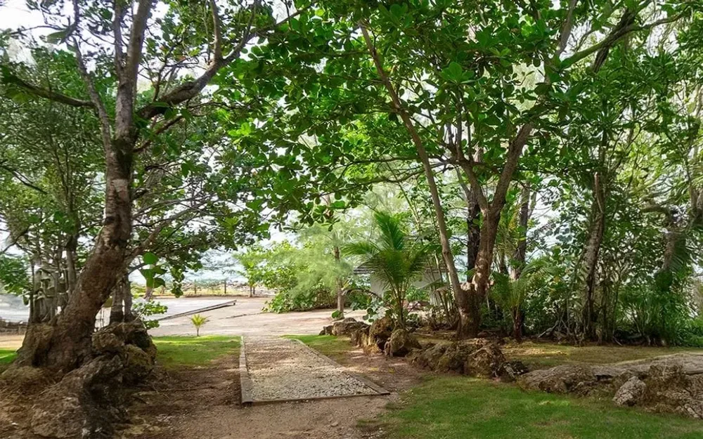 Leafy pathway through the tropical garden leading toward the sea