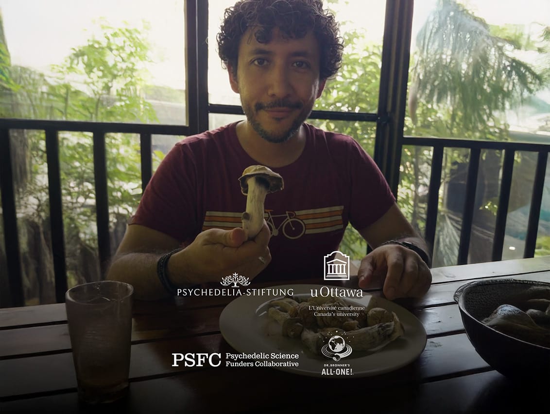 Research Retreat — in Kooperation mit Psychedelia-Stiftung, uOttawa, PSFC